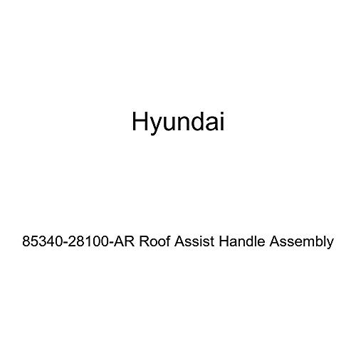 Genuine Hyundai 85340-28100-AR Roof Assist Handle Assembly