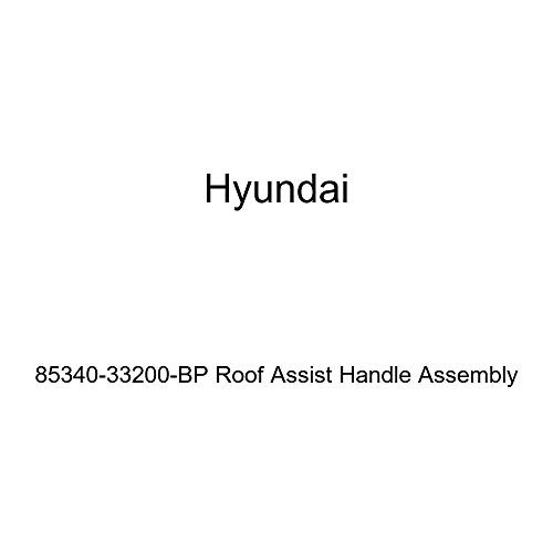 Genuine Hyundai 85340-33200-BP Roof Assist Handle Assembly