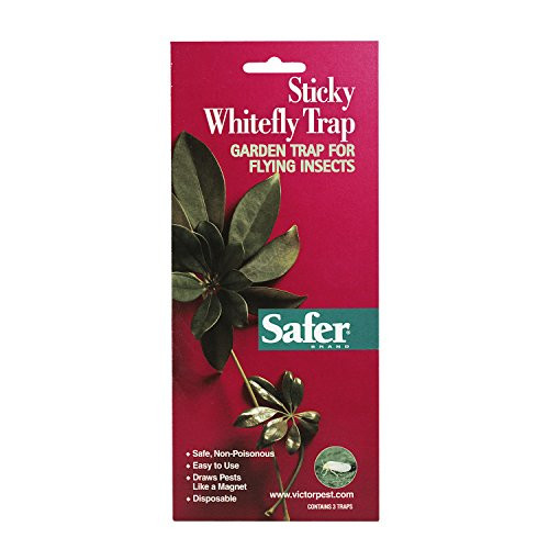 Safer Brand Sticky Whitefly Traps (3 Traps) 00340