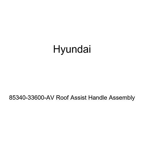 Genuine Hyundai 85340-33600-AV Roof Assist Handle Assembly