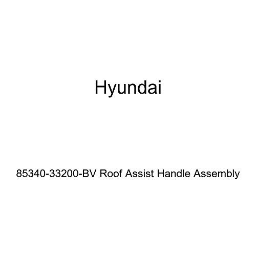 Genuine Hyundai 85340-33200-BV Roof Assist Handle Assembly