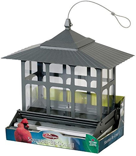 Perky-Pet Squirrel-Be-Gone II Wild Bird Feeder - 351
