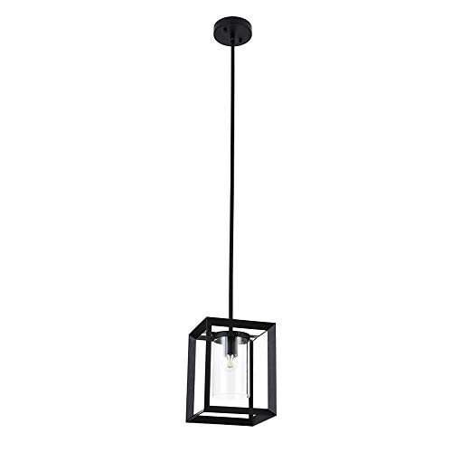 COTULIN Modern Glass Pendant Light, Single Light Metal Wire Cage Hanging Pendant Light, Black Hanging Ceiling Lamp,Industrial Lighting Fixture and Decoration for Living Room Bedroom Kitchen