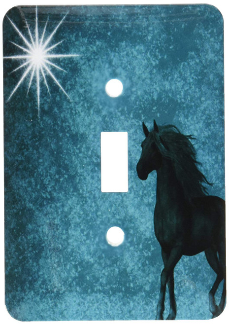 3dRose lsp_164692_1 Beautiful Horse Aqua Grunge Sky Light Switch Cover