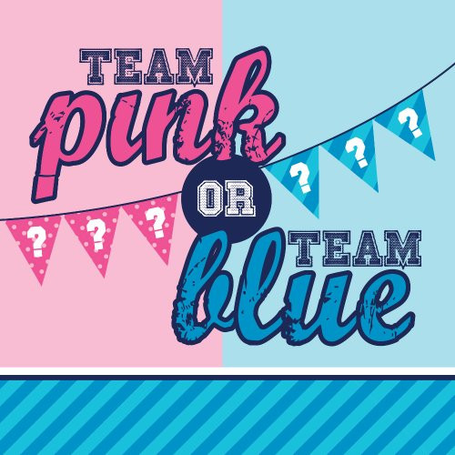 Creative Converting 18 Count Gender Reveal 2-Ply Luncheon Paper Napkins, Team Pink/Team Blue