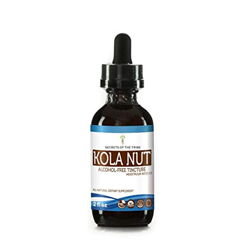 Kola Nut Tincture Alcohol-Free Extract, Organic Kola nut (Cola Acuminate) Dried Nut (2 FL OZ)