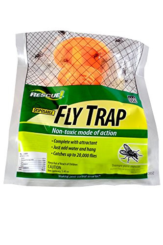 STERLING INTERNATIONAL INC Rescue FTD Disposable Non-Toxic Fly Trap (12 Traps)