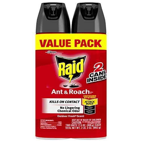 Raid Ant & Roach Killer, Outdoor Fresh Scent, 17.5 OZ (2 CT)