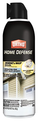 Ortho Home Defense Hornet & Wasp Killer Aerosol 16 oz