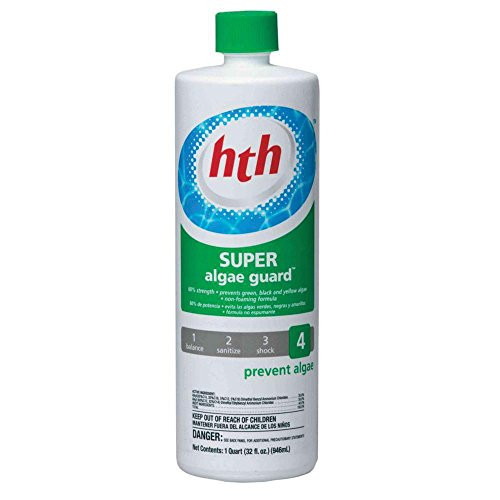 HTH 61117 Super Algae Guard Algaecide for Swimming Pools, 1-Quart