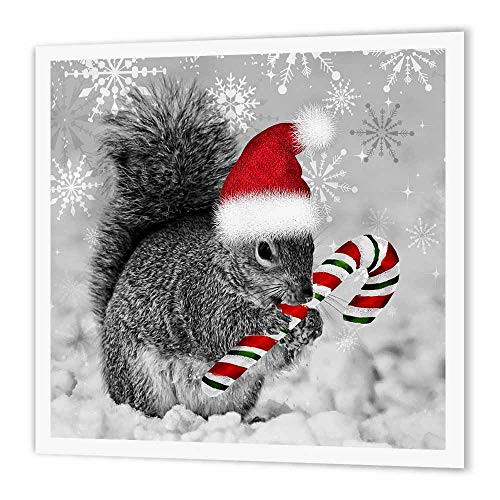 3dRose ht_150177_2 Christmas Squirrel, Candy Cane, Santa Hat, Snow Winter Landscape. Iron on Heat Transfer, 6 by 6-Inch, for White Material