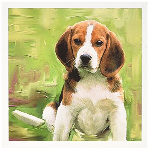 3dRose Beagle Puppy - Greeting Cards, 6 x 6 inches, set of 6 (gc_4020_1)