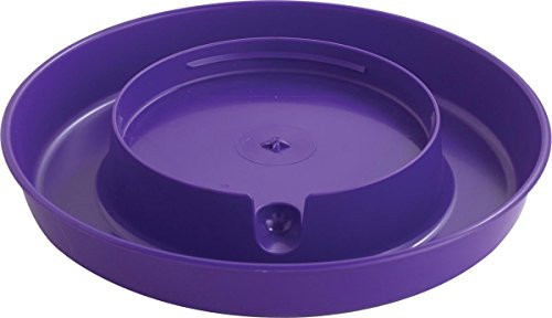 LITTLE GIANT 750PURPLE Purple Screw-On Base for 1-Gallon Plastic Poultry Waterer