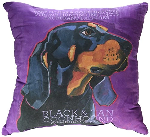 One Bella Casa Coonhound 1 Pillow, 16 by 16-Inch