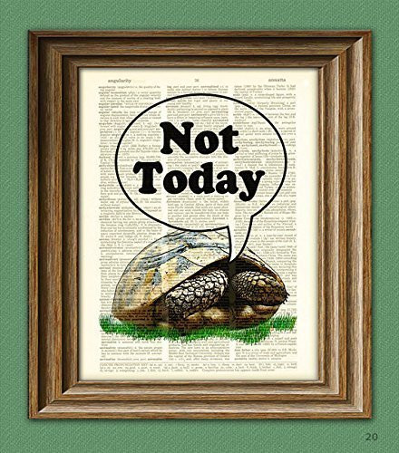 Not Today Tortoise Turtle Art Print Illustration Beautifully Upcycled Dictionary Page Book Art Print