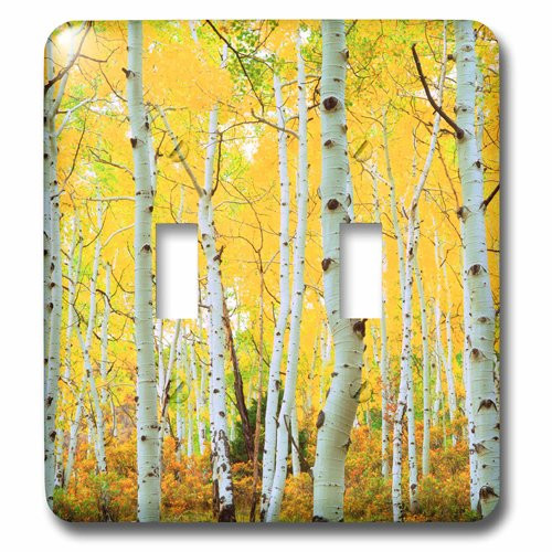 3dRose lsp_207635_2 USA, Colorado, Rocky Mountains, Fall colors of Aspen trees Double Toggle Switch