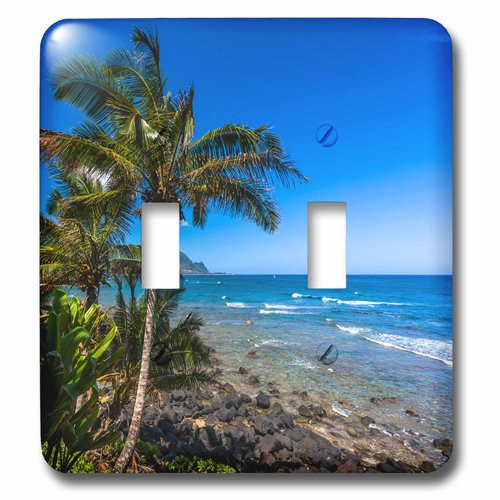 3dRose lsp_207887_2 Tropical coastline, HI Double Toggle Switch