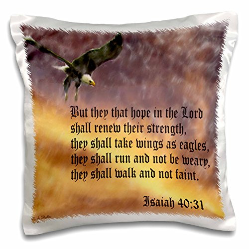 3dRose Isaiah 40-31 Bible verse with eagle against a troubled sky - Pillow Case, 16 by 16-inch (pc_27419_1) 3dRose Isaiah 40-31 Bible verse with eagle against a troubled sky - Pillow Case, 16 by 16-inch (pc_27419_1)