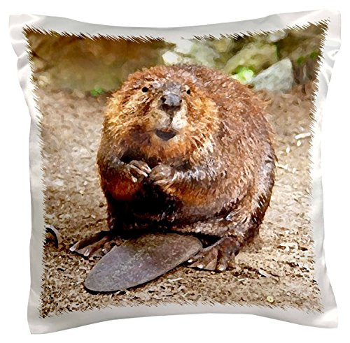 3dRose pc_4660_1 Beaver-Pillow Case, 16 by 16" 3dRose pc_4660_1 Beaver-Pillow Case, 16 by 16"