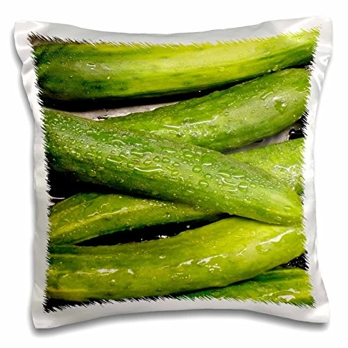 3dRose pc_7739_1 Cool As A Cucumber-Pillow Case, 16 by 16"