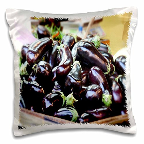 3dRose pc_62493_1 Eggplants-Pillow Case, 16 by 16"