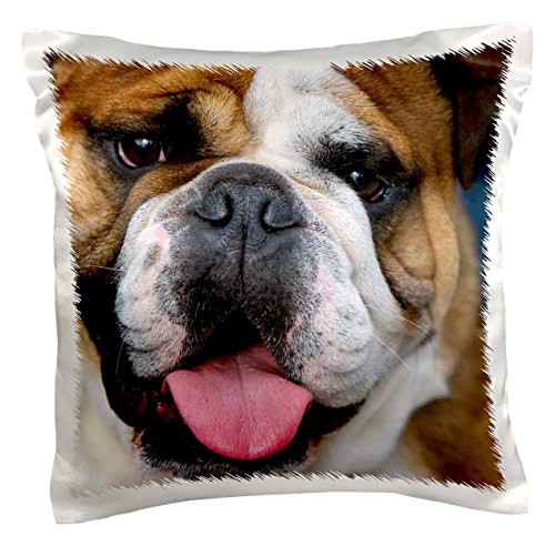3dRose pc_71531_1 an English Bulldog in Belgium-EU04 DFR0027-David R. Frazier-Pillow Case, 16 by 16" 3dRose pc_71531_1 an English Bulldog in Belgium-EU04 DFR0027-David R. Frazier-Pillow Case, 16 by 16"