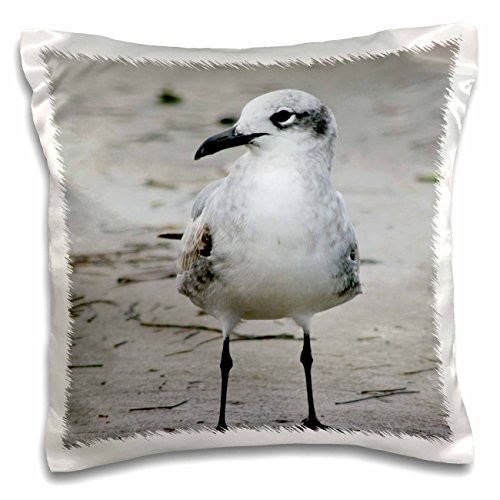 3dRose pc_185204_1 Seagull Eye Level Standing Pillow Case, 16 x 16