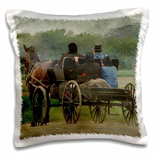 3dRose pc_185438_1 Amish Family Outing x Angelandspot Pillow Case, 16 x 16