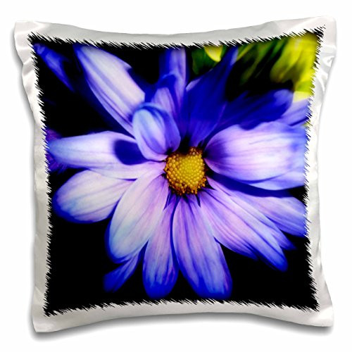 3dRose pc_222756_1 Beauty in The Eyes of The Beholder is a Beautiful Blue Flower Pillow Case, 16" x 16"