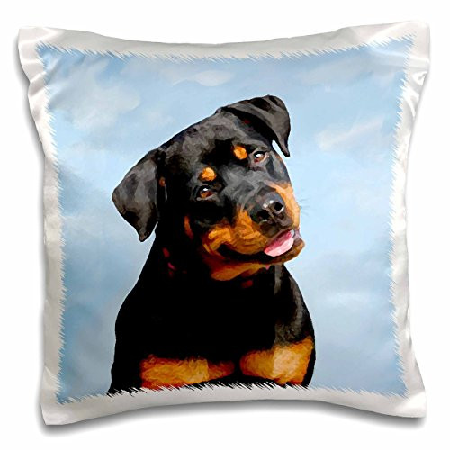 3dRose Rottweiler-Pillow Case, 16 by 16" (pc_4375_1)