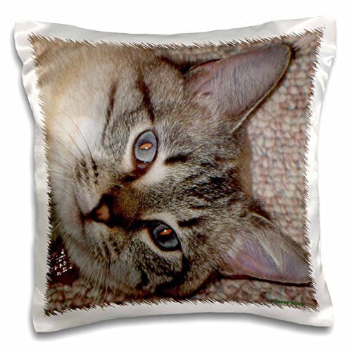 3dRose Siamese-Pillow Case, 16 by 16" (pc_19179_1) 3dRose Siamese-Pillow Case, 16 by 16" (pc_19179_1)