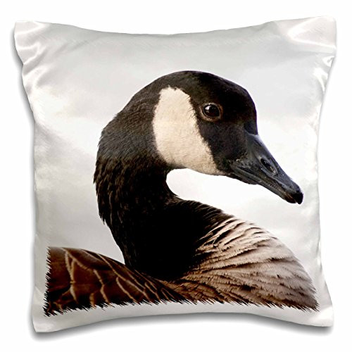 3dRose A Canada Goose (Branta Canadensis), Bird-Na02 Rbr0001-Rick A. Brown-Pillow Case, 16 by 16" (pc_84168_1)
