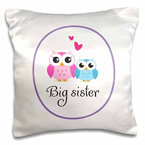 3dRose I Love My Big Sister-Pillow Case, 16 by 16" (pc_157415_1)
