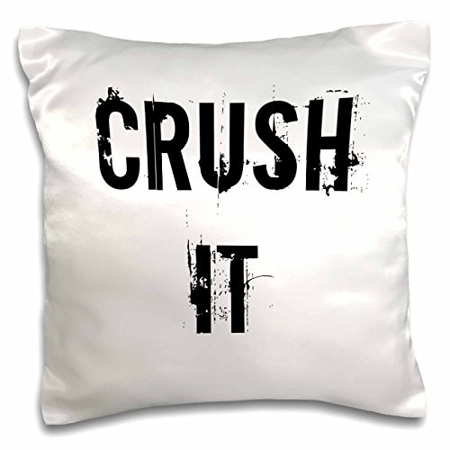 3dRose Crush It-Pillow Case, 16 by 16" (pc_180122_1) 3dRose Crush It-Pillow Case, 16 by 16" (pc_180122_1)