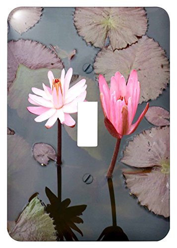 3dRose lsp_192494_1 Twin Lotus Flower Toggle Switch