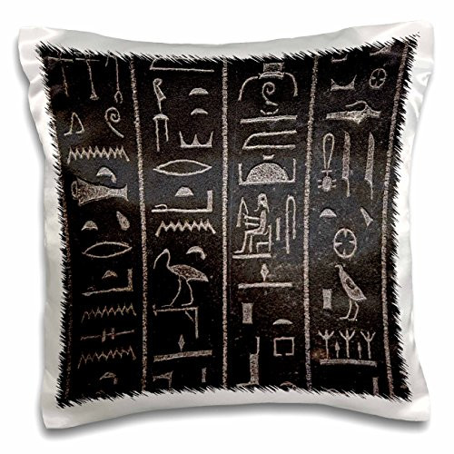 3dRose Print of Real Egyptian Vintage Hieroglyphs-Pillow Case, 16-inch (pc_204372_1)