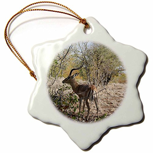 3dRose South African Impala with Horns - Snowflake Ornament, Porcelain, 3-inch (ORN_26816_1)