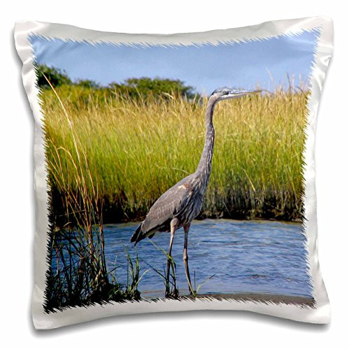 3dRose pc_3108_1, "Blue Heron" Printed, Satin, Envelope closure type, Square pillow case, 16 x 16 inches, White