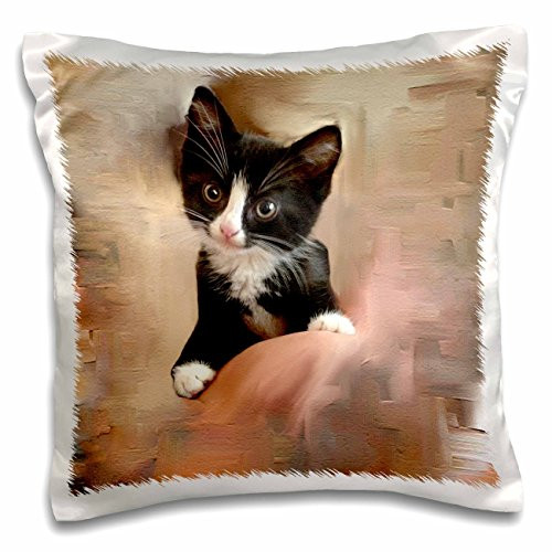 3dRose tuxedo kitten - Pillow Case, 16 by 16-inch (pc_153164_1)