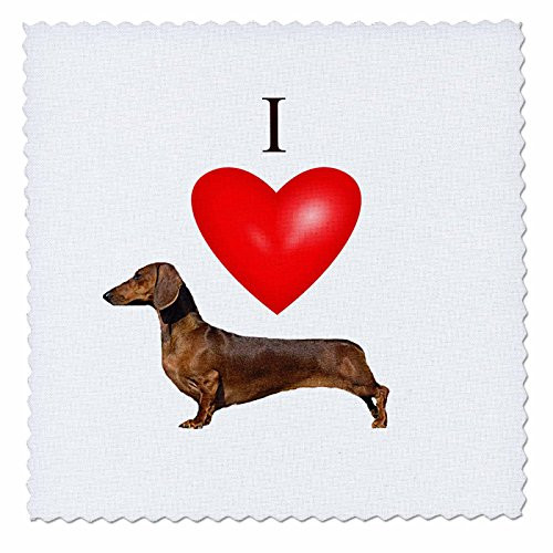 3dRose I Love Dachshunds - Quilt Square, 10 by 10-inch (qs_17300_1)