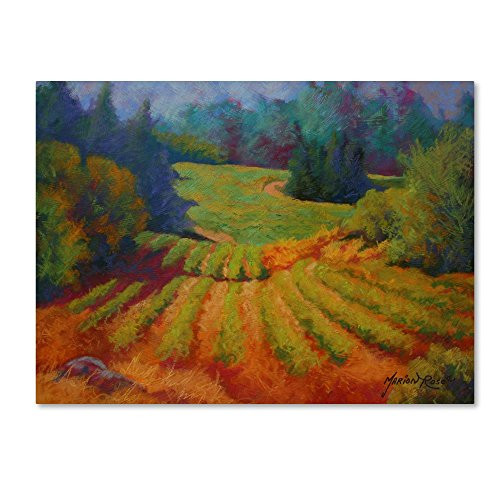 Vineyard 2 by Marion Rose, 14x19-Inch Canvas Wall Art