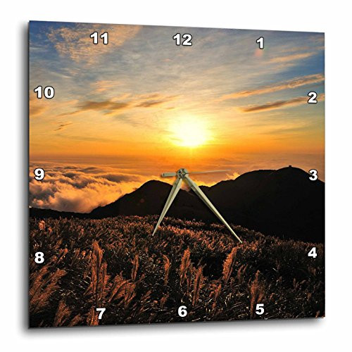3D Rose Colorful Sunset in the Park Wall Clock, 15" x 15" 3D Rose Colorful Sunset in the Park Wall Clock, 15" x 15"
