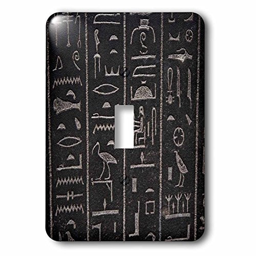 3D Rose lsp_204372_1 Print of Real Egyptian Vintage Hieroglyphs-Single Toggle Switch