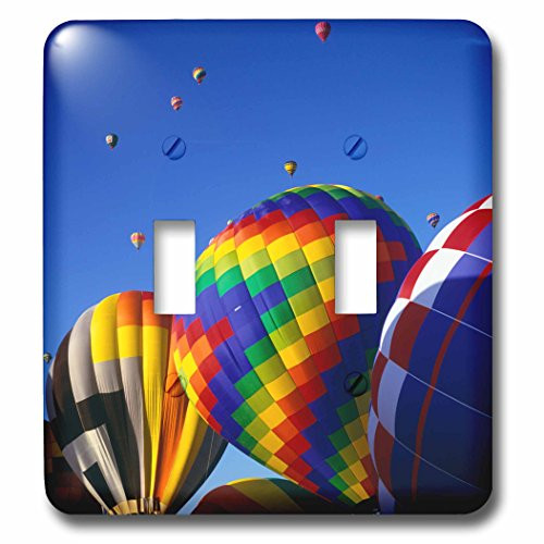 3dRose lsp_231263_2 Hot Air Albuquerque Balloon Festival, New Mexico Toggle Switch Mixed