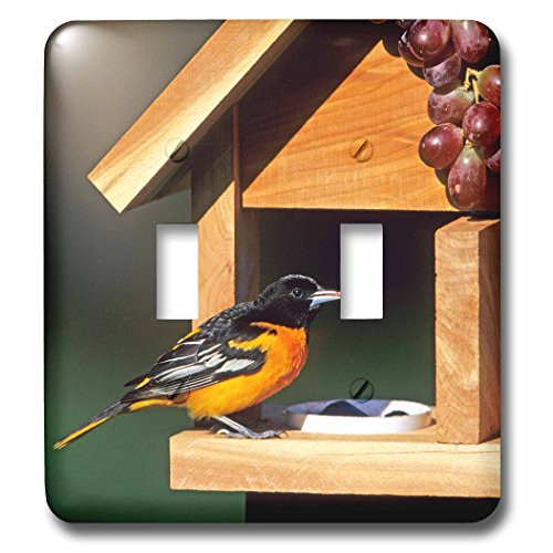 3dRose lsp_250919_2 Baltimore Oriole Male on Jelly and Grape Feeder, Illinois Toggle Switch Mixed