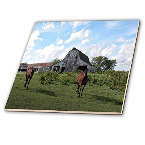 3dRose ct_11508_2 Horses and Barn Ceramic Tile, 6-Inch
