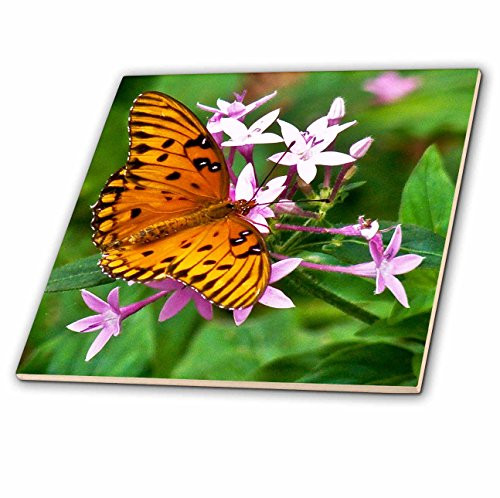 3dRose ct_12671_3 Orange Butterfly Ceramic Tile, 8-Inch