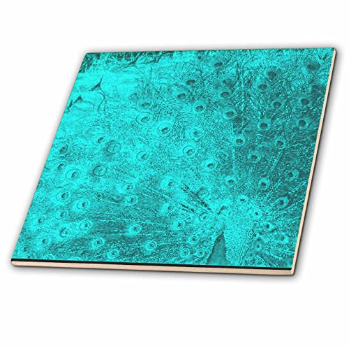 3dRose ct_26164_3 Turquoise Peacock Art Ceramic Tile, 8-Inch