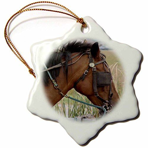 3dRose orn_6454_1 Amish Horse 2 Photographed by Angelandspot Porcelain Snowflake Ornament, 3-Inch