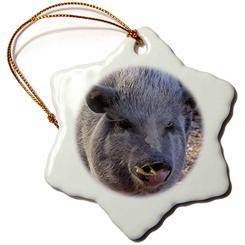 3dRose LLC orn_21065_1 Pot Belly Pig Snowflake Porcelain Hanging Ornament, 3-Inch